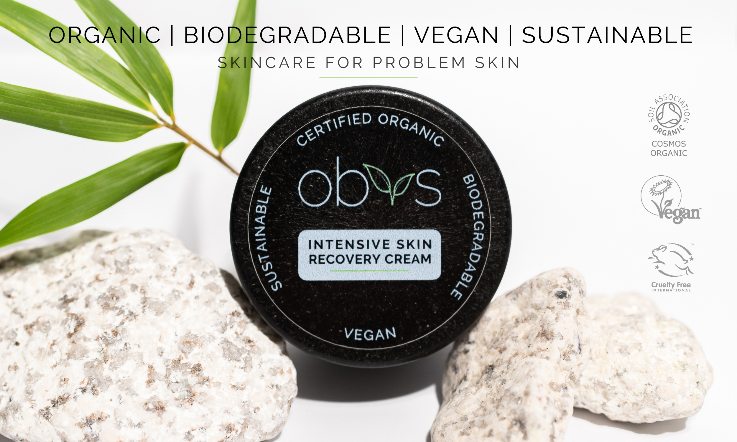 Organic vegan skincare for problem skin acne eczema