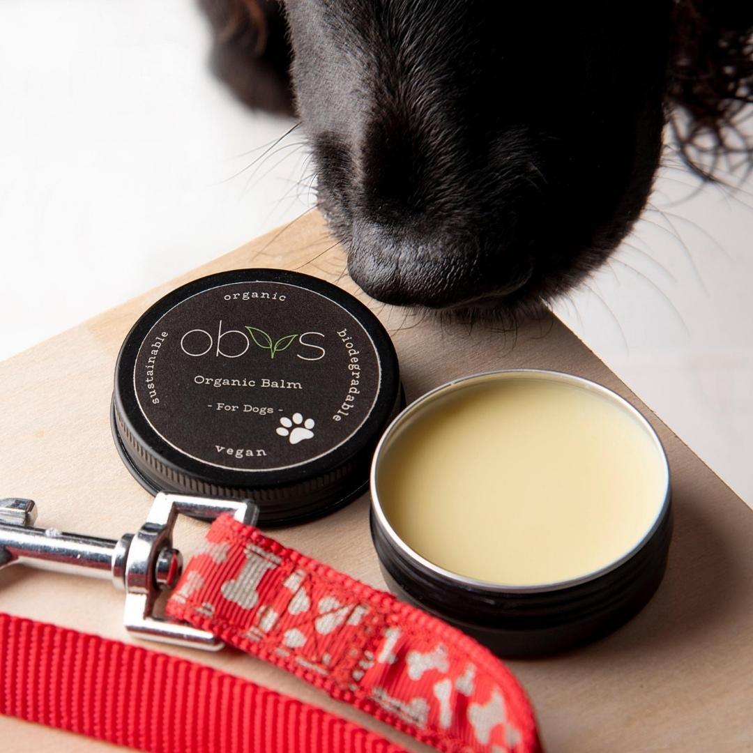Obvs Skincare Gift Set - For Dogs - Obvs Skincare