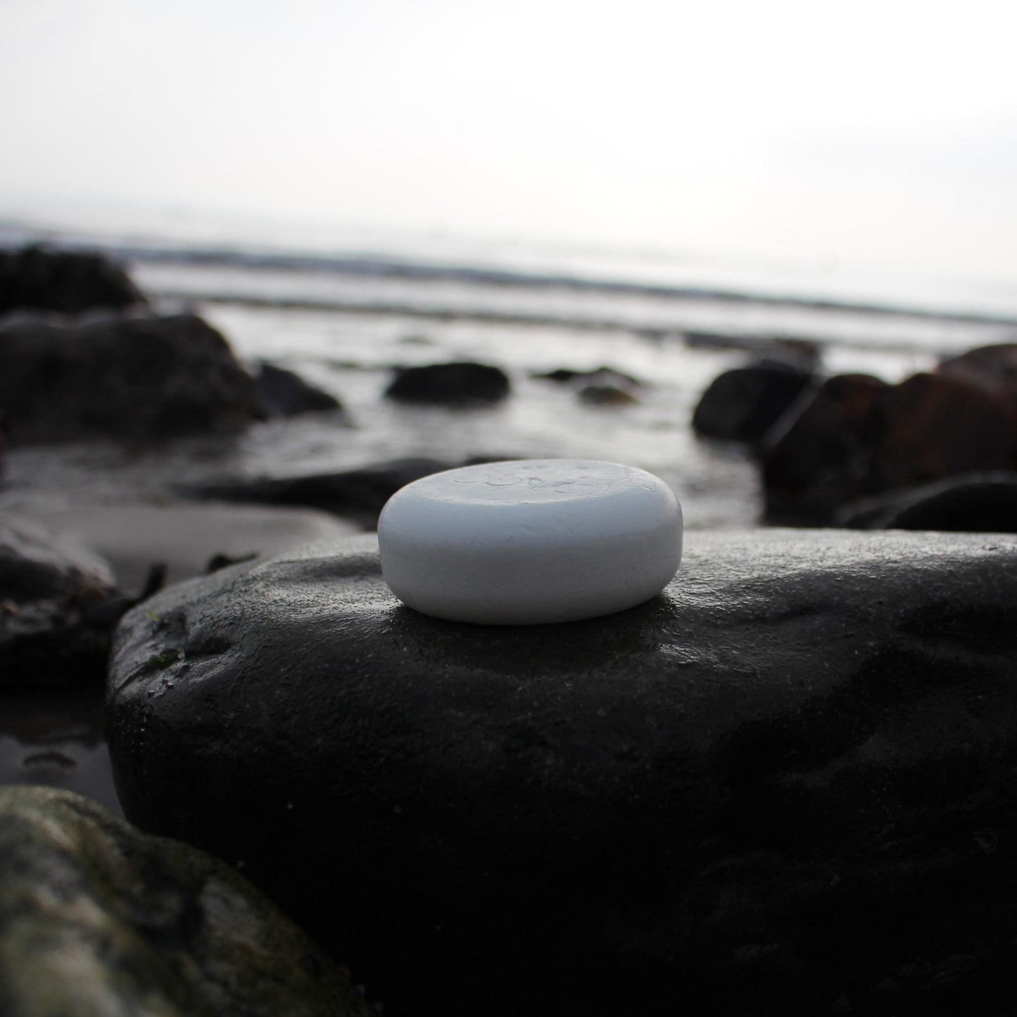 Organic Natural Sea Salt Soap For Dogs – Unscented - Obvs Skincare