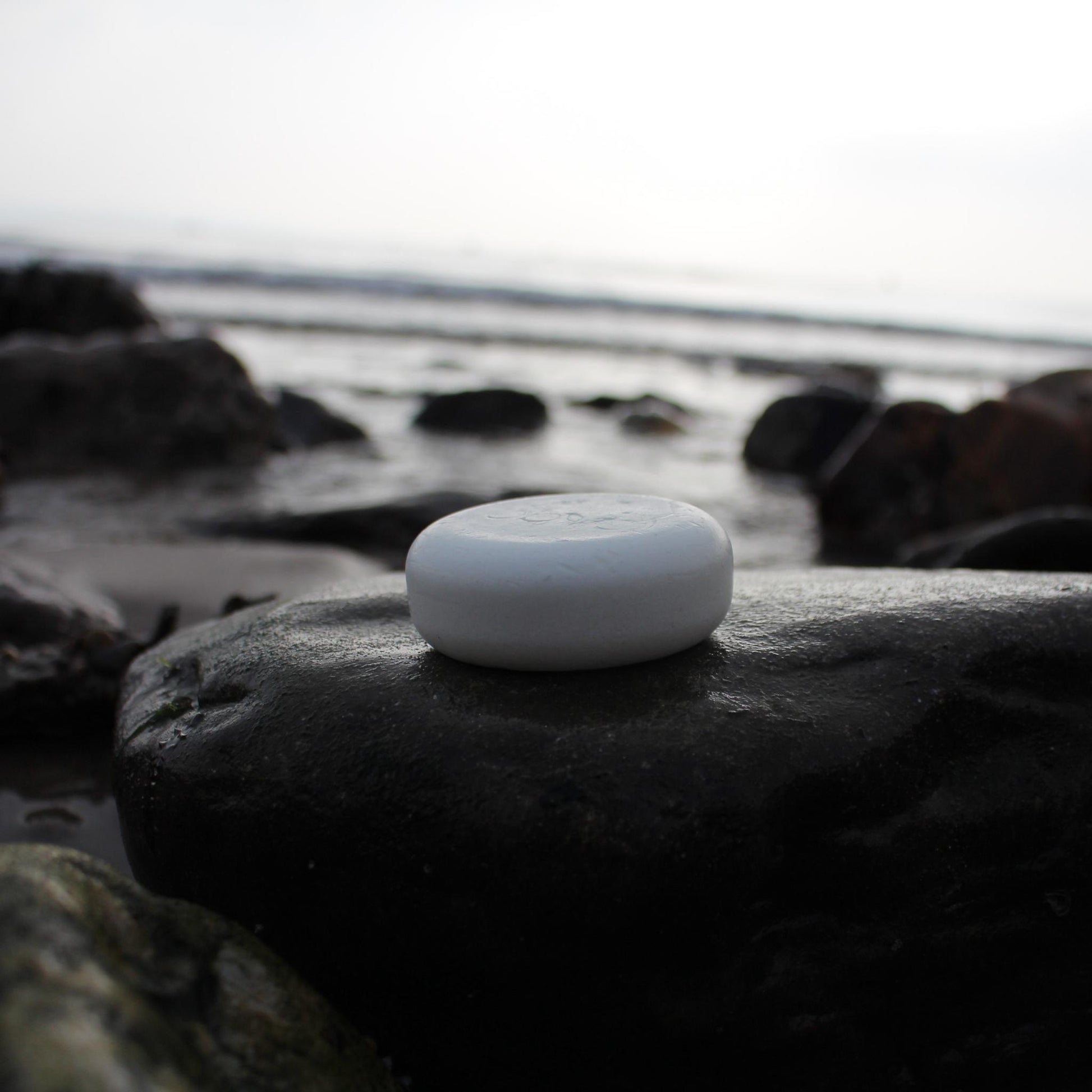 Organic Natural Sea Salt Soap For Dogs – Unscented - Obvs Skincare
