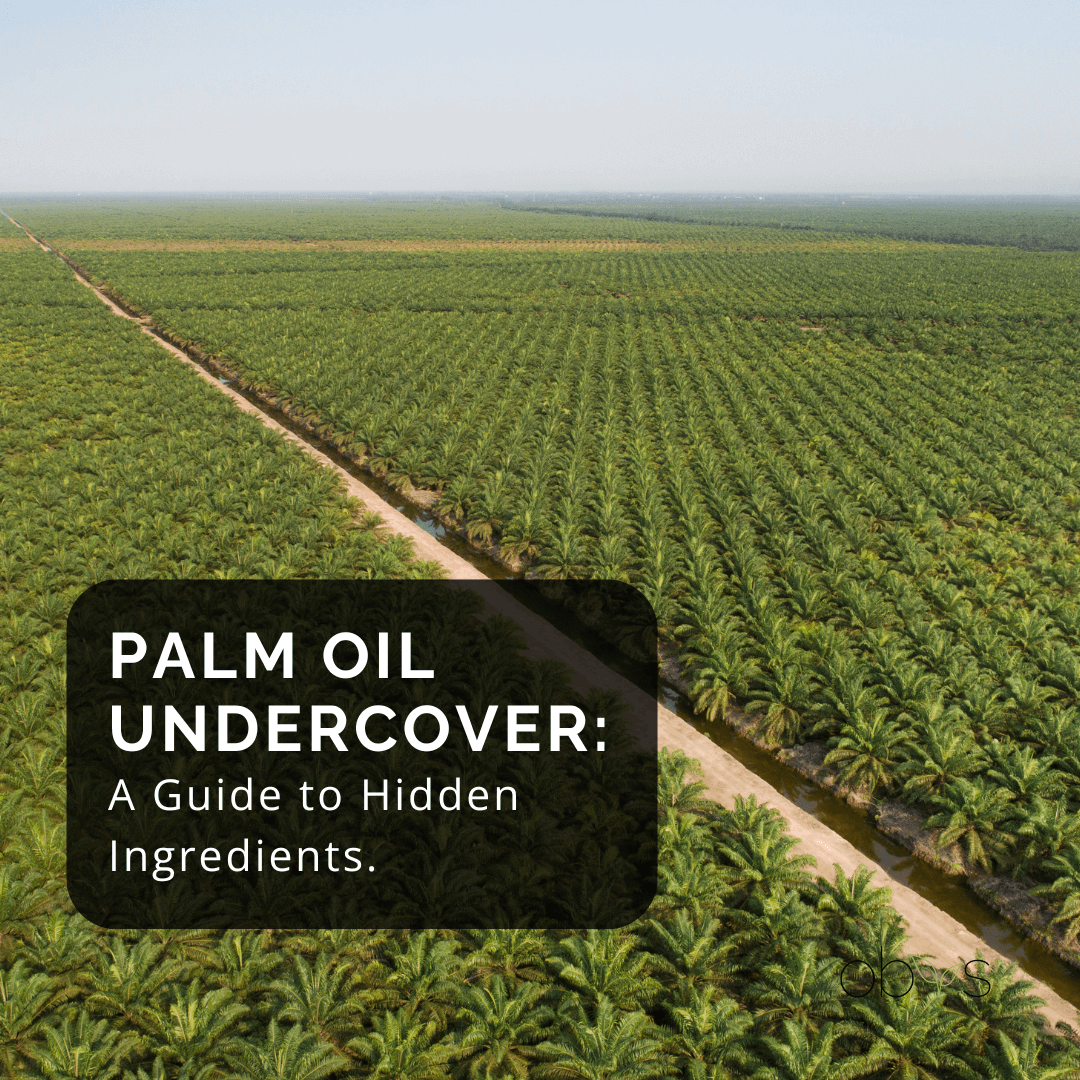 Palm oil is a common ingredient in many household products, but it often hides under a complex web of names.