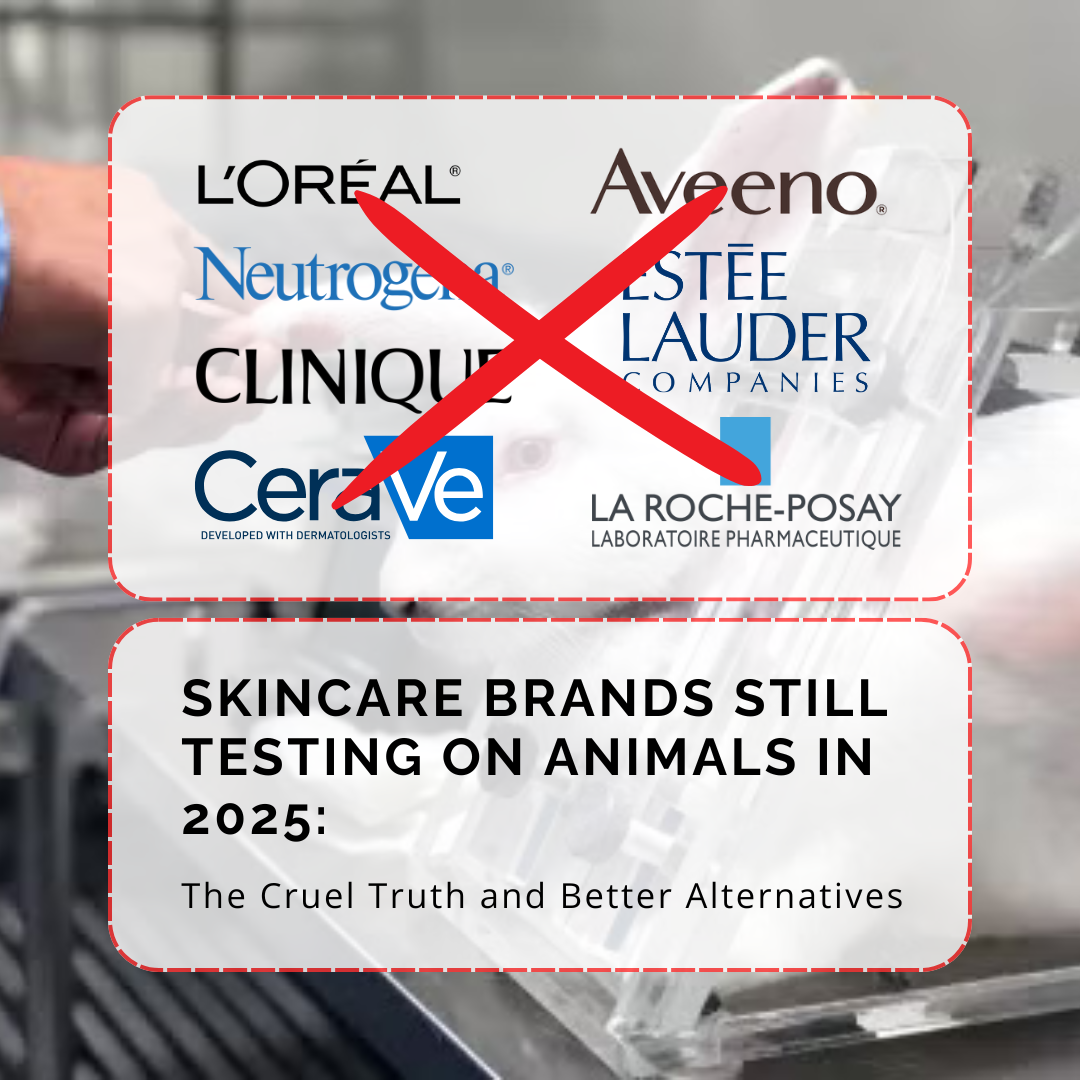 Skincare Brands Still Testing on Animals in 2025: The Cruel Truth and