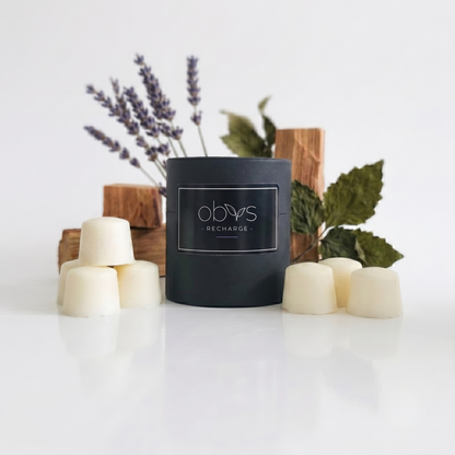 Black wax melts  labeled 'obvs recharge' with wooden blocks and lavender on a white background