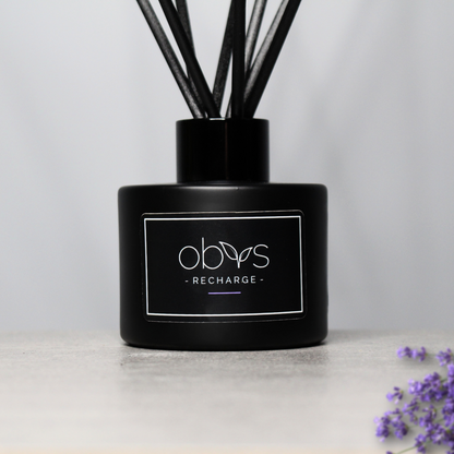 A collection of eco-luxury diffusers with natural reeds and refined, essential oil blends, bringing a subtle, sophisticated scent to any room while enhancing a sustainable, elegant home atmosphere.