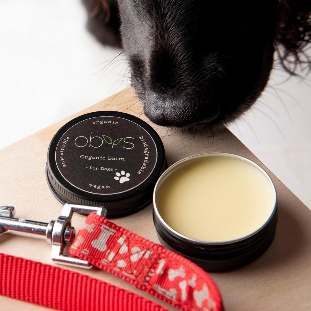 Obvs Skincare Gift Set - For Dogs - Obvs Skincare - acne - eczema - skincare - organic